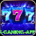 ppn7 Max Gaming App
